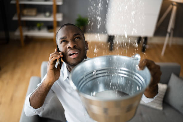 Best Local water damage restoration  in Independence, OR