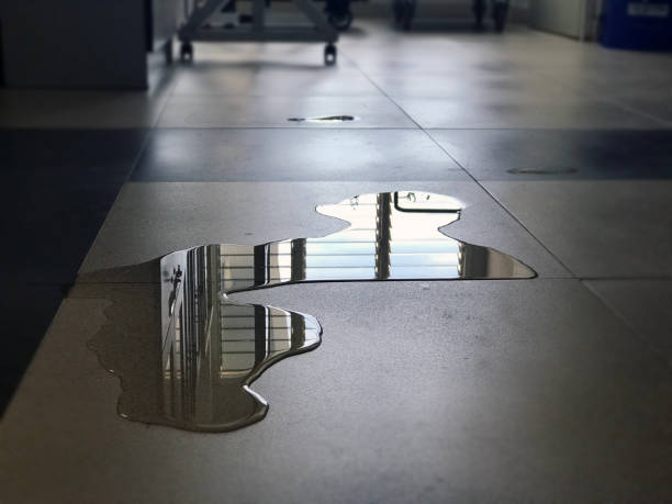  Independence, OR Water damage restoration Pros