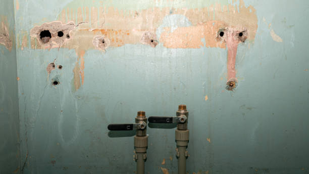 Best Basement water damage restoration  in Independence, OR